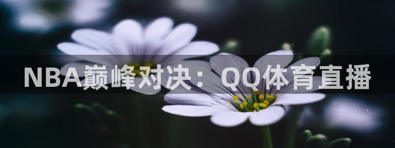 斗球nba直播在线观看免费