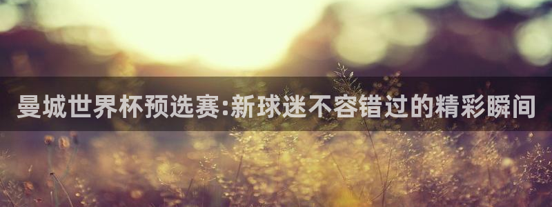 斗球直播极速版