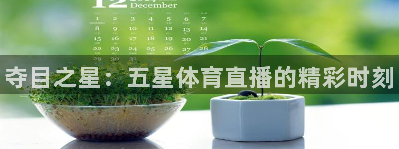 斗球体育直播下载app