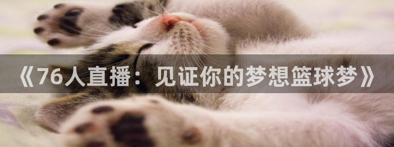 斗球体育直播app下载电脑版