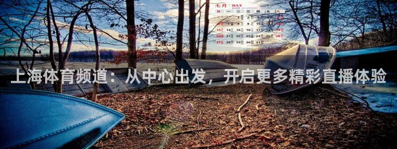 斗球直播nba在线观看：上海体育频道：从中心出发，开启更多精彩直播体验