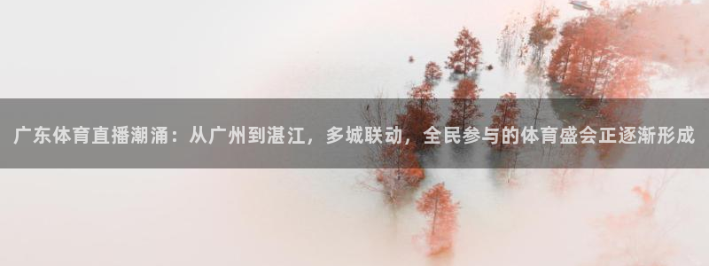 斗球直播app：广东体育直播潮涌：从广州到湛江，多城联动，全民参与的体育盛会正逐渐形成