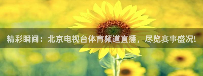 斗球直播app在线观看：精彩瞬间：北京电视台体育频道直播，尽览赛事盛况!